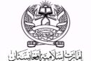 اقوام متحدہ کی خصوصی رپورٹ کے متعلق امارت اسلامیہ کے ترجمان کا بیان