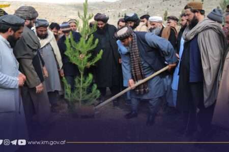 کابل: حلقہ 15میں شجر کاری مہم کے دوران 1ہزار پودے لگائے گئے۔