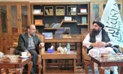 وزیر اطلاعات و ثقافت کی کابل میں تعینات نائب ایرانی سفیر اور وفد سے ملاقات