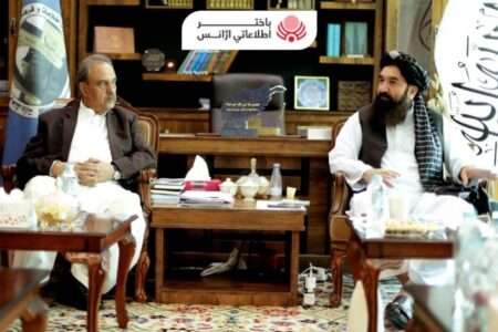 وزیر اطلاعات و ثقافت کی پاکستانی نمائندہ خصوصی آصف درانی سے ملاقات