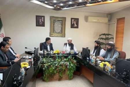وزیر پانی و توانائی کی ایران کی توانیر کمپنی کے سی ای او سے ملاقات