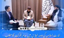 امارت اسلامیہ کی دوحہ اجلاس میں عدم شرکت کا مطلب دنیا کے ساتھ تعلقات کا بگاڑ نہیں ہے: مولوی عبدالکبیر