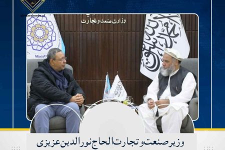 وزیر صنعت و تجارت الحاج نورالدین عزیزی سے ایرانی سرمایہ کار کی ملاقات