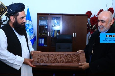 افغانستان کو ترقی کے لیے اسلامی ممالک کے تعاون کی ضرورت ہے: مولوی غلام حیدر شهامت