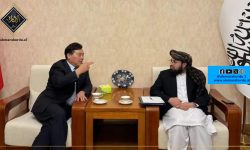 چین میں افغان سفیر کی چینی کمپنی ایم سی سی کے سربراہ سے ملاقات