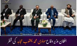 افغان وزیر دفاع مولوی محمد یعقوب مجاہد کی قطر کے نائب امیر سے ملاقات