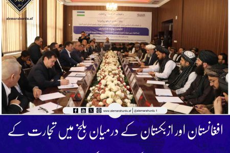 افغانستان اور ازبکستان کے درمیان بلخ میں تجارت کے فروغ کے لیے مشترکہ اجلاس
