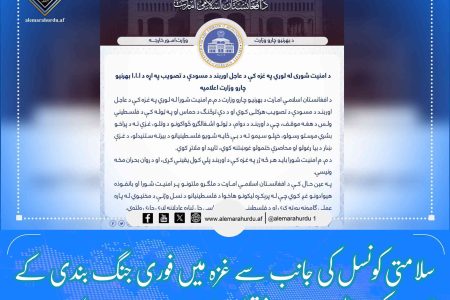 سلامتی کونسل کی جانب سے غزہ میں فوری جنگ بندی کے قرارداد کی منظوری سے متعلق افغان وزارت خارجہ کا اعلامیہ!