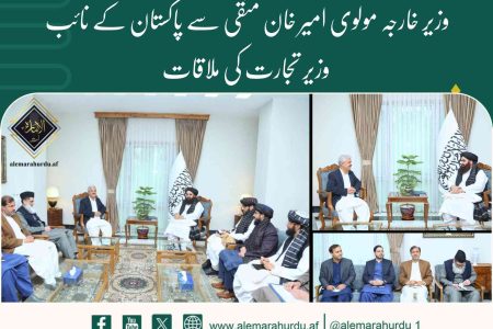 وزیر خارجہ مولوی امیر خان متقی سے پاکستان کے نائب وزیر تجارت کی ملاقات
