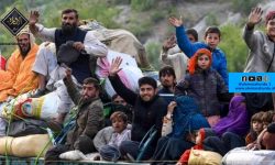 پاکستان اور ایران سے 117 خاندانوں کی وطن واپسی