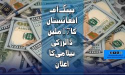 بینک آف افغانستان کا 17 ملین ڈالرز کی نیلامی کا اعلان