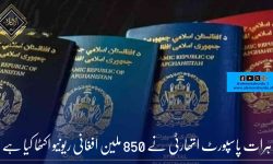 ہرات پاسپورٹ اتھارٹی نے 850 ملین افغانی ریونیو اکٹھا کیا ہے