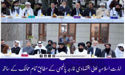 امارت اسلامیہ اپنی اقتصادی خارجہ پالیسی کے مطابق تمام ممالک کے ساتھ اچھے تعلقات کی خواہاں ہے : نائب وزیر اعظم مولوی عبدالکبیر
