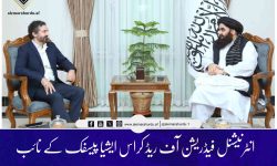 انٹرنیشنل فیڈریشن آف ریڈ کراس ایشیا پیسفک کے نائب سربراہ کی وزیر خارجہ مولوی امیر خان متقی سے ملاقات کی
