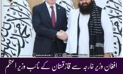 افغان وزیر خارجہ سے قازقستان کے نائب وزیر اعظم کی ملاقات
