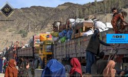 پاکستان اور ایران سے 4 ہزار افغان باشندوں کی واطن واپسی